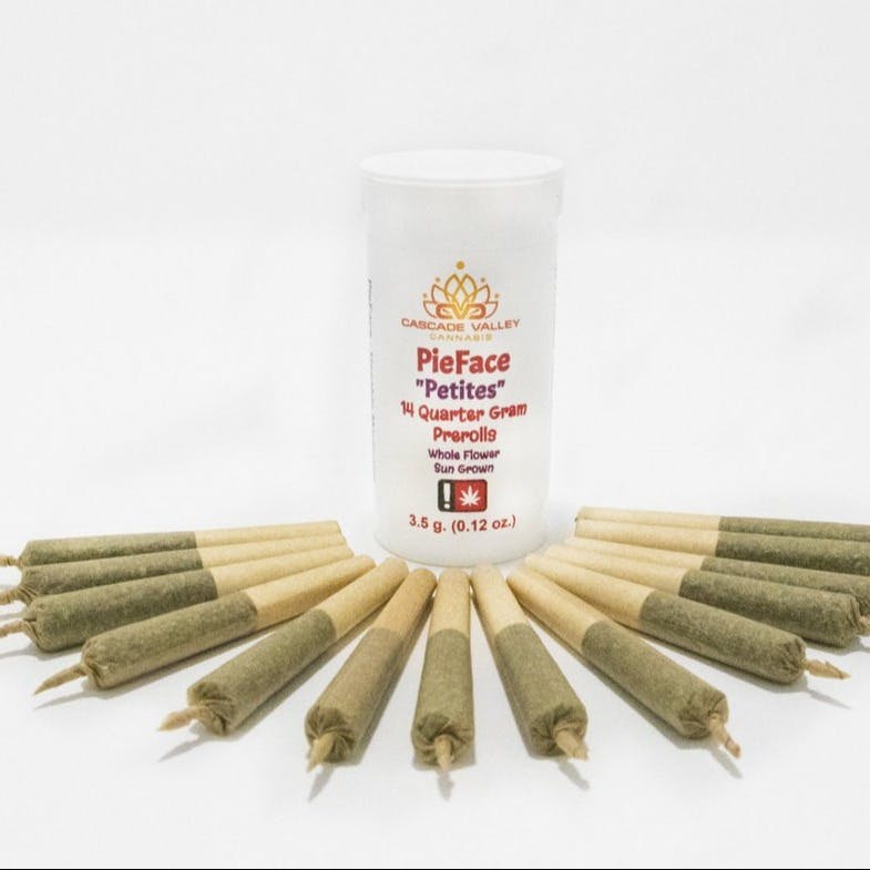 (PETITIE PAK) - 14 X .25g - Duct Tape 27.63% THC / 0.25% CBD